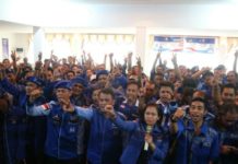 Seluruh Kader Demokrat Siap Jadi Jurkam Karolin-Gidot