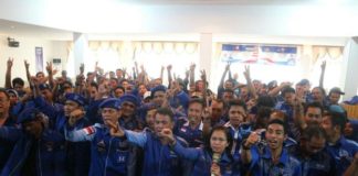 Seluruh Kader Demokrat Siap Jadi Jurkam Karolin-Gidot