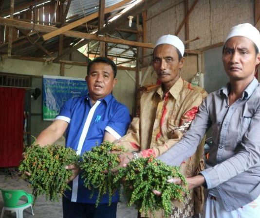 Karolin-Gidot Rancang Kartu Petani, Agar Mudah Dapat Bantuan Karolin-Gidot Rancang Kartu Petani