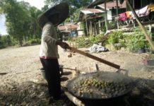 Kolang-kaling Laris, Warga Tersenyum Manis KOLANG-KALING. Warga Kampung Baung, Kedamin Hulu, Putussibau Selatan, Kapuas Hulu sedang mengolah buah aren dijadikan kolang-kaling, Selasa (22/5). Andreas-RK