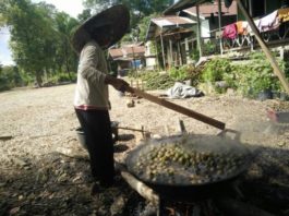 KOLANG-KALING. Warga Kampung Baung, Kedamin Hulu, Putussibau Selatan, Kapuas Hulu sedang mengolah buah aren dijadikan kolang-kaling, Selasa (22/5). Andreas-RK