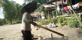 Kolang-kaling Laris, Warga Tersenyum Manis KOLANG-KALING. Warga Kampung Baung, Kedamin Hulu, Putussibau Selatan, Kapuas Hulu sedang mengolah buah aren dijadikan kolang-kaling, Selasa (22/5). Andreas-RK