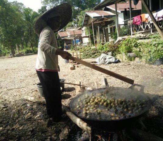 Kolang-kaling Laris, Warga Tersenyum Manis KOLANG-KALING. Warga Kampung Baung, Kedamin Hulu, Putussibau Selatan, Kapuas Hulu sedang mengolah buah aren dijadikan kolang-kaling, Selasa (22/5). Andreas-RK