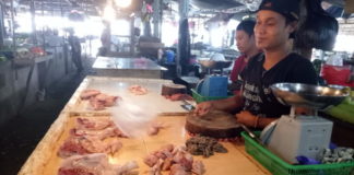 Harga Daging Ayam Meroket Rp50 Ribu per Kilogram Ayam Potong. Penjual ayam potong, Deni disela-sela kesibukan menjual ayam potong di Pasar Markasan Nanga Pinoh. Dedi Irawan/RK.