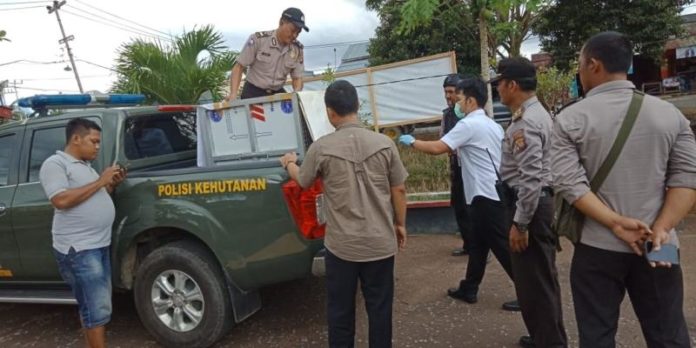 EVAKUASI. Petugas tengah mengevakuasi orang utan di Sungai Kakap, Kamis (17/5)--BKSDA for RK