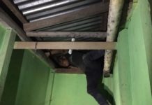 Panik Ada Razia, Pria Asal Entikong Bersembunyi di Dek Tinggalkan Pacarnya SEMBUNYI. Takut dirazia, salah seorang penghuni hotel bersembunyi di atas dek di salah satu hotel di Entikong, Sabtu (19/5) malam—Polisi for RK