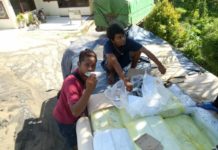 Dua Truk Ikan Malaysia Disita BARANG BUKTI. Petugas tengah menunjukkan barang bukti ikan Malaysia yang diamankan di Mapolsek Ledo--Kurnadi/RK