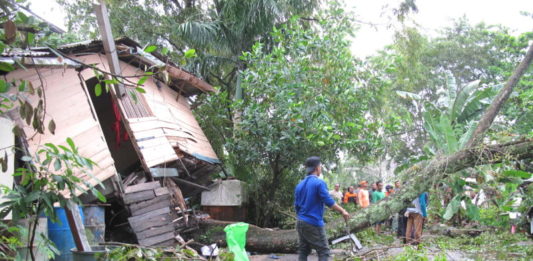 Bergetar, Rumah Terangkat TERANGKAT. Kondisi rumah Ayu yang berada di Jalan Palapa 2 terangkat akar pohon tumbang, Selasa (1/5). Maulidi Murni-RK