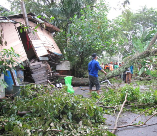 Bergetar, Rumah Terangkat TERANGKAT. Kondisi rumah Ayu yang berada di Jalan Palapa 2 terangkat akar pohon tumbang, Selasa (1/5). Maulidi Murni-RK