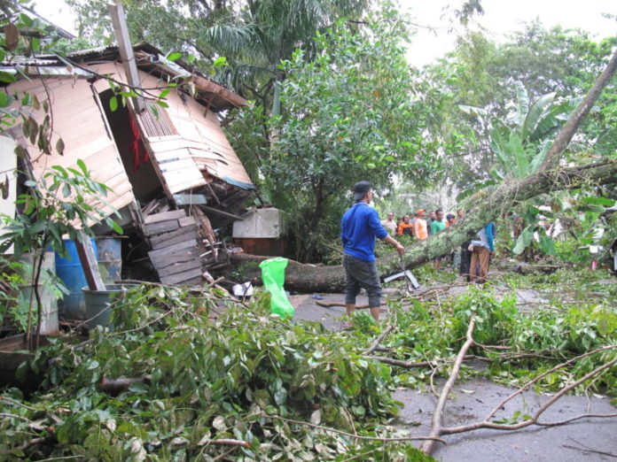 TERANGKAT. Kondisi rumah Ayu yang berada di Jalan Palapa 2 terangkat akar pohon tumbang, Selasa (1/5). Maulidi Murni-RK