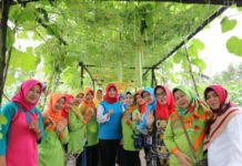 Lahan Gambut Bisa Hasilkan Tanaman Berkualitas KEBUN PERCONTOHAN. Mahmudah ketika meninjau kebun PKK Kelurahan Kota Baru, Pontianak Selatan belum lama ini. Humas Pemkot for RK