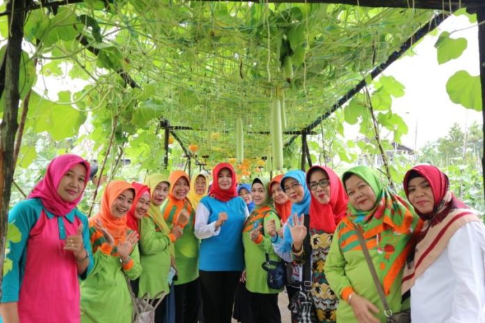 KEBUN PERCONTOHAN. Mahmudah ketika meninjau kebun PKK Kelurahan Kota Baru, Pontianak Selatan belum lama ini. Humas Pemkot for RK