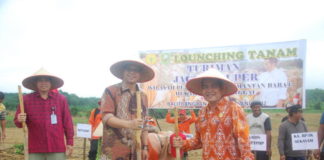 Sanggau Lokasi Program Pertanian Terbesar di Kalbar TANAM PERDANA. Sekretaris Badan Kemenpan RI dan Kadis Hanpanghortikan Sanggau melakukan tanaman perdana Turiman Jagole Super, Jumat (25/5). Darmansyah Dalimunthe-rk