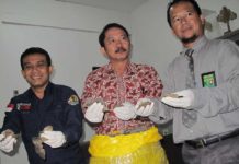 Jual Sisik Trenggiling di Nanga Pinoh GAGAL DIPERJUALBELIKAN. Petugas menunjukkan sisik Trenggiling hasil pengungkapan di Nanga Pinoh, Melawi saat menggelar rilis di Mako SPORC Jalan Mayor Ali Anyang, Jumat (25/5). Maulidi Murni-RK