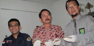 Jual Sisik Trenggiling di Nanga Pinoh GAGAL DIPERJUALBELIKAN. Petugas menunjukkan sisik Trenggiling hasil pengungkapan di Nanga Pinoh, Melawi saat menggelar rilis di Mako SPORC Jalan Mayor Ali Anyang, Jumat (25/5). Maulidi Murni-RK