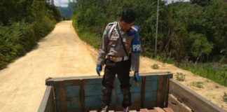 81 Batang Kayu Olahan Disita Polsek Bonti