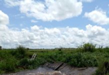 Jembatan Ambruk Diterjang Air Sungai Jembatan Diseret Air. Jembatan di Dusun Sidorejo, Desa Sedahan Jaya, Sukadana terbawa arus, sehingga membuat petani setempat menjadi kesulitan mengangkut hasil panen meraka. Warga for Rakyat Kalbar