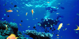 Maksimalkan Pengembangan Pariwisata Kalbar