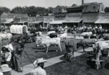 Hotel Sapi HISTORIS. Foto bersejarah parade ternak di jalan utama Dodge City, KS. (1966). Business Wire