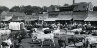 Hotel Sapi HISTORIS. Foto bersejarah parade ternak di jalan utama Dodge City, KS. (1966). Business Wire