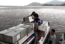Prioritaskan Daerah Sulit Dijangkau DITUNDA. Sejumlah petugas KPU Kayong Utara memuat logistik Pilkada ke speedboat di Pelabuhan TPI Sukadana, Jumat (22/6). Proses pendistribusian logistik ini ke PPK Kepulauan Karimata terpaksa ditunda akibat cuaca buruk. Kamiriluddin-RK