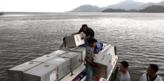 Prioritaskan Daerah Sulit Dijangkau DITUNDA. Sejumlah petugas KPU Kayong Utara memuat logistik Pilkada ke speedboat di Pelabuhan TPI Sukadana, Jumat (22/6). Proses pendistribusian logistik ini ke PPK Kepulauan Karimata terpaksa ditunda akibat cuaca buruk. Kamiriluddin-RK