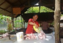 Telur Kosong, Harga Ayam Meroket Pedagang Ayam. Tingginya harga ayam, sehingga membuat pedagang ayam di Sukadana minim penghasilan. Warga for Rakyat Kalbar