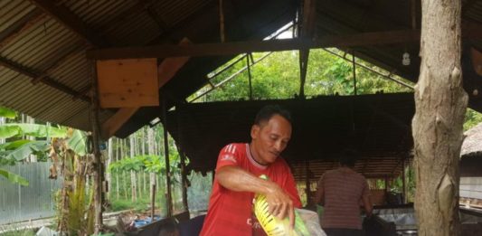 Telur Kosong, Harga Ayam Meroket Pedagang Ayam. Tingginya harga ayam, sehingga membuat pedagang ayam di Sukadana minim penghasilan. Warga for Rakyat Kalbar