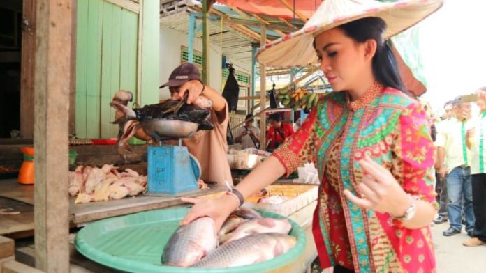 Calon Gubernur Kalbar nomor urut dua, Karolin Margret Natasa