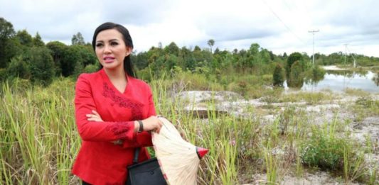 Karolin: Pembangunan Perbatasan Harus Dioptimalkan Calon Gubernur Kalbar nomor urut 2, Karolin Margret Natasa