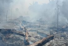 (Lagi) Polisi Amankan Pelaku JADI ARANG. Kebakaran lahan di Gang H. Bahrin Jalan Parit H Husin 2, Pontianak Tenggara, Senin (23/7). Bangun Subekti-RK