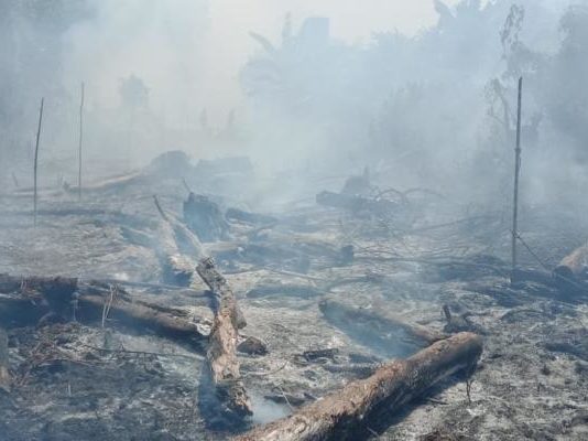 (Lagi) Polisi Amankan Pelaku JADI ARANG. Kebakaran lahan di Gang H. Bahrin Jalan Parit H Husin 2, Pontianak Tenggara, Senin (23/7). Bangun Subekti-RK