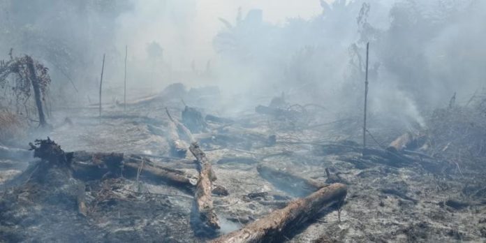 JADI ARANG. Kebakaran lahan di Gang H. Bahrin Jalan Parit H Husin 2, Pontianak Tenggara, Senin (23/7). Bangun Subekti-RK