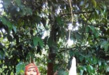 Pengunjung Makin Ramai