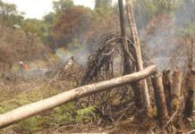 Sungguh Berharap Karhutla Ini Segera Berlalu PEMADAMAN API. Personil Manggala Agni Daops Pontianak bersama TNI-Polri dan masyarakat peduli api melakukan pemadaman lanjutan di lahan milik warga di Desa Arang Limbung, Kecamatan Sungai Raya, Kabupaten Kubu Raya, Sabtu (20/7), sekitar pukul 13.00 WIB. Andi Ridwansyah-RK