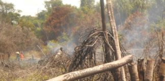 Sungguh Berharap Karhutla Ini Segera Berlalu PEMADAMAN API. Personil Manggala Agni Daops Pontianak bersama TNI-Polri dan masyarakat peduli api melakukan pemadaman lanjutan di lahan milik warga di Desa Arang Limbung, Kecamatan Sungai Raya, Kabupaten Kubu Raya, Sabtu (20/7), sekitar pukul 13.00 WIB. Andi Ridwansyah-RK