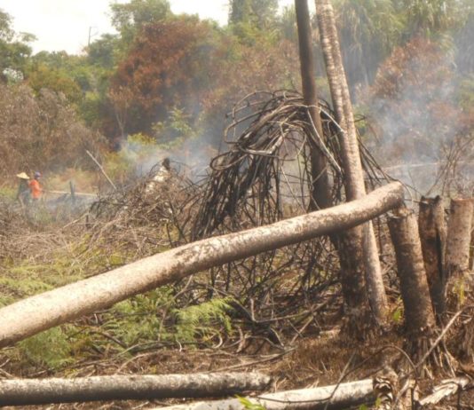 Sungguh Berharap Karhutla Ini Segera Berlalu PEMADAMAN API. Personil Manggala Agni Daops Pontianak bersama TNI-Polri dan masyarakat peduli api melakukan pemadaman lanjutan di lahan milik warga di Desa Arang Limbung, Kecamatan Sungai Raya, Kabupaten Kubu Raya, Sabtu (20/7), sekitar pukul 13.00 WIB. Andi Ridwansyah-RK