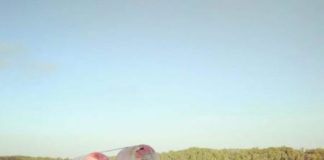 Terbentur Ponton, Kapal Barang Karam di Teluk Batang Karam. KM Air Intan karam saat bersandar di dekat ponton di pelabuhan pasir di Teluk Batang, Senin (16/7). Warga for Rakyat Kalbar