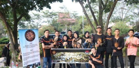 Komunitas Cinta Animal Kalbar Rayakan World Snake Day Diabadikan. Anggota KOCAK bersama hewan peliharaan mereka diabadikan bersama ketika melakukan gathering di Taman Untan Pontianak, beberapa waktu lalu. KOCAK for Rakyat Kalbar
