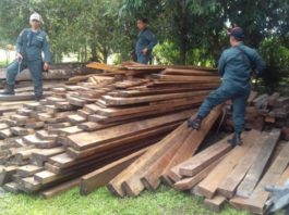 KAYU ILEGAL. Menampung kayu ilegal, Meubel Kayu PO Karya Mandiri di Jalan Ketapang-Siduk Km 23, Desa Temurukan, Kecamatan Muara Pawan, Kabupaten Ketapang, digerebek aparat gabungan, Minggu (1/7). SPORC for RK