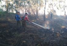 Karhutla Disebabkan Manusia MENJINAKKAN API. Personel Manggala Agni Daops Pontianak melakukan pemadaman lanjutan pada lahan milik warga di Desa Kuala II Kecamatan Rasau Jaya, Kubu Raya sekira pukul 11.30 WIB, Senin (16/7). Manggala Agni Daops Pontianak for RK