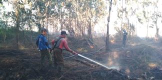 Karhutla Disebabkan Manusia MENJINAKKAN API. Personel Manggala Agni Daops Pontianak melakukan pemadaman lanjutan pada lahan milik warga di Desa Kuala II Kecamatan Rasau Jaya, Kubu Raya sekira pukul 11.30 WIB, Senin (16/7). Manggala Agni Daops Pontianak for RK