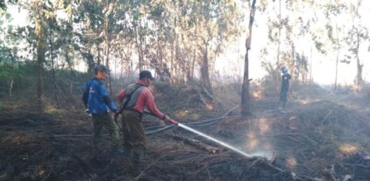 Karhutla Disebabkan Manusia MENJINAKKAN API. Personel Manggala Agni Daops Pontianak melakukan pemadaman lanjutan pada lahan milik warga di Desa Kuala II Kecamatan Rasau Jaya, Kubu Raya sekira pukul 11.30 WIB, Senin (16/7). Manggala Agni Daops Pontianak for RK