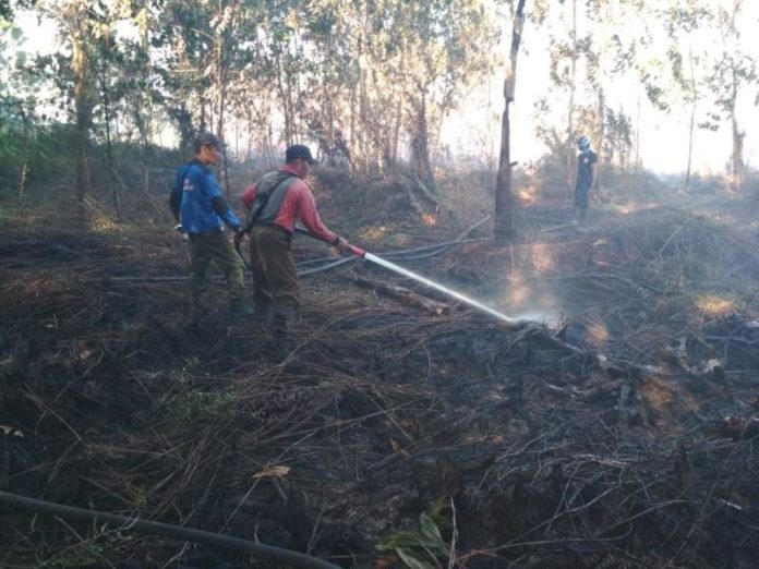 MENJINAKKAN API. Personel Manggala Agni Daops Pontianak melakukan pemadaman lanjutan pada lahan milik warga di Desa Kuala II Kecamatan Rasau Jaya, Kubu Raya sekira pukul 11.30 WIB, Senin (16/7). Manggala Agni Daops Pontianak for RK