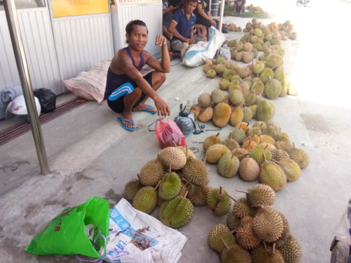 JUALAN SI RAJA BUAH. Penjual durian di Simpang Munggu, Ngabang, Kamis (26/7). Antonius-RK