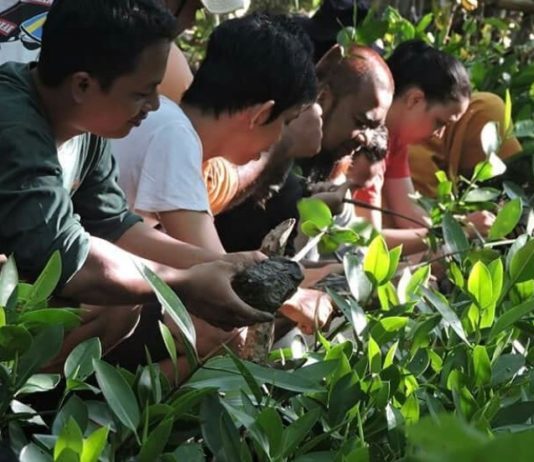 MMC Selamatkan Pesisir Mempawah dari Abrasi REUNI. MMC melakukan penanaman mangrove di pesisir Mempawah Mangrove Park, Desa Pasir, Kecamatan Mempawah Hilir, Minggu (15/7). Kegiatan reuni tersebut menandai lima tahun kiprah MMC. Ari Sandy