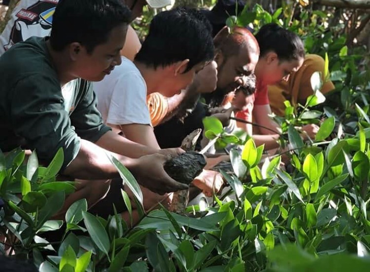 REUNI. MMC melakukan penanaman mangrove di pesisir Mempawah Mangrove Park, Desa Pasir, Kecamatan Mempawah Hilir, Minggu (15/7). Kegiatan reuni tersebut menandai lima tahun kiprah MMC. Ari Sandy