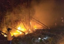 Taman Nasional Nyaris Terbakar PADAMKAM API. Petugas berigdalkarhut TNBKDS bersama TNI-Polri memadamkan api di area penyangga TNDS Desa Lanjak Deras Batang Lupar, Kapuas Hulu, Jumat (13/7). Humas TNBKDS for RK
