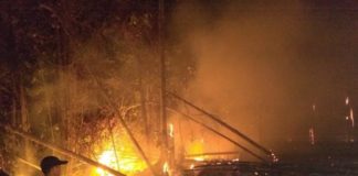 Taman Nasional Nyaris Terbakar PADAMKAM API. Petugas berigdalkarhut TNBKDS bersama TNI-Polri memadamkan api di area penyangga TNDS Desa Lanjak Deras Batang Lupar, Kapuas Hulu, Jumat (13/7). Humas TNBKDS for RK