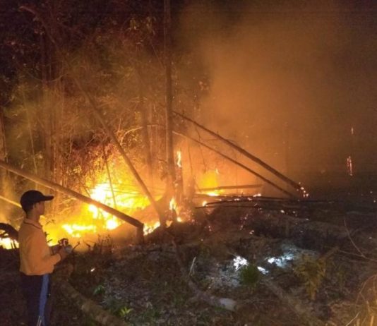 Taman Nasional Nyaris Terbakar PADAMKAM API. Petugas berigdalkarhut TNBKDS bersama TNI-Polri memadamkan api di area penyangga TNDS Desa Lanjak Deras Batang Lupar, Kapuas Hulu, Jumat (13/7). Humas TNBKDS for RK